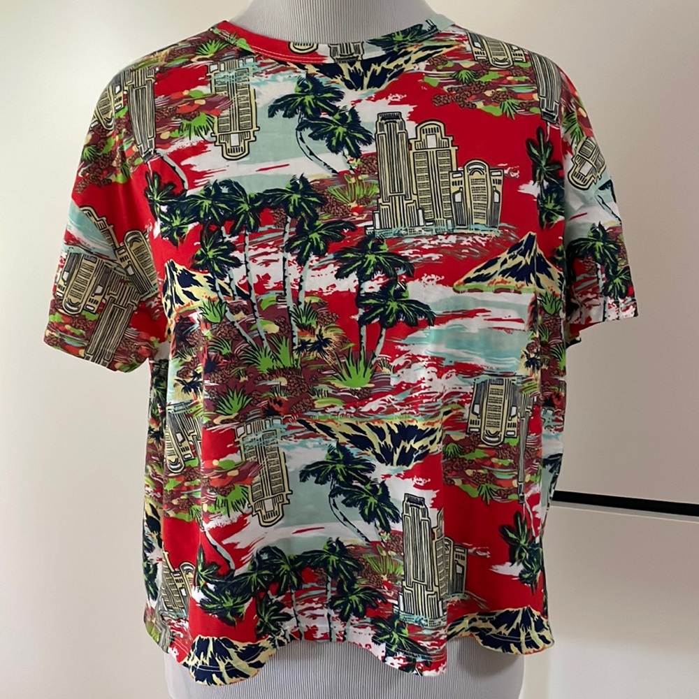Zara crop top tee shirt. Colorful fun design!
